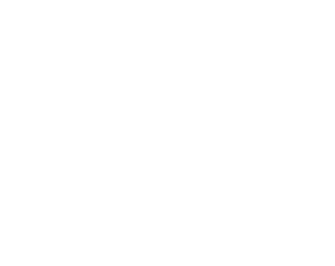dataport