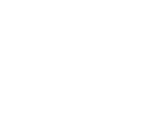 Otto
