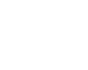 Netlight